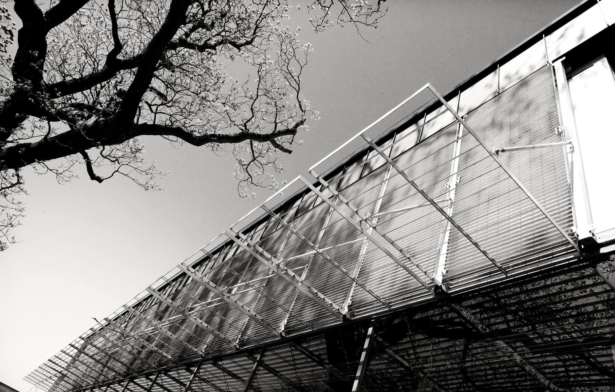 Margam Park public works cover image