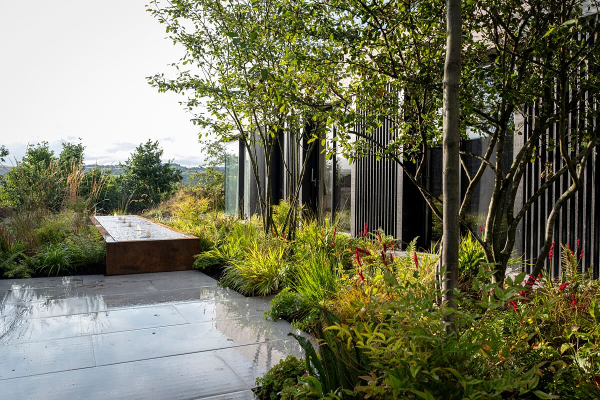 Clifford Reservoir 2